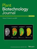 Plant-based production can result in covalent cross-linking of proteins