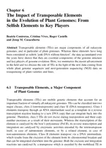 The Impact of Transposable Elements in the Evolution of Plant Genomes: From Selfish Elements to Key Players