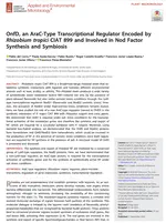 OnfD, an AraC-Type Transcriptional Regulator Encoded by Rhizobium tropici CIAT 899 and Involved in Nod Factor Synthesis and Symbiosis