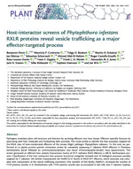 Host-interactor screens of Phytophthora infestans RXLR proteins reveal vesicle trafficking as a major effector-targeted process