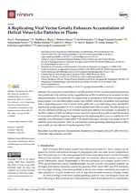 A Replicating Viral Vector Greatly Enhances Accumulation of Helical Virus-Like Particles in Plants