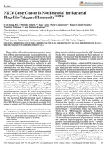 NRC4 Gene Cluster Is Not Essential for Bacterial Flagellin-Triggered Immunity